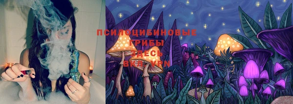 PSILOCYBIN Бронницы